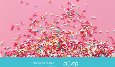 ترافل چیست؟ راهنمای جامع خرید و کاربرد