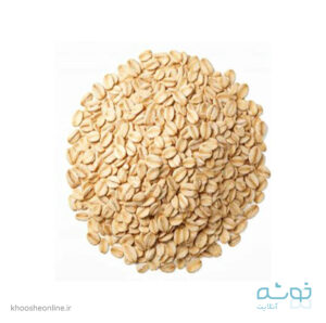 جو دوسر پرک